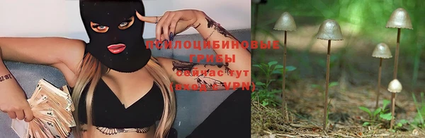 синтетический гашиш Бородино