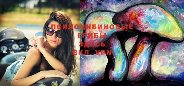 молекула духа Бронницы
