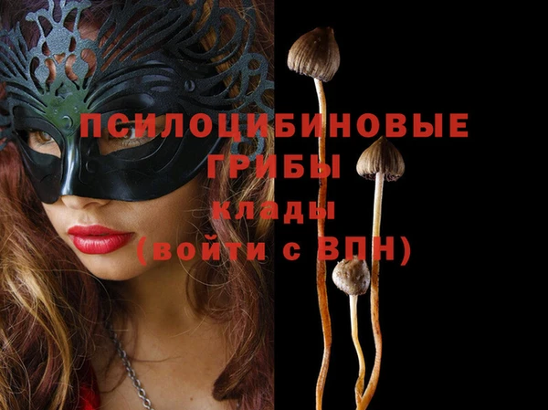 синтетический гашиш Бородино
