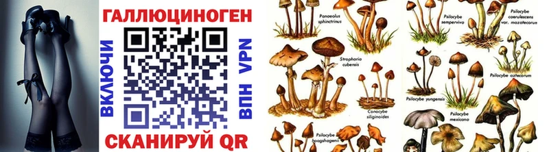 Галлюциногенные грибы мухоморы  Шимановск 